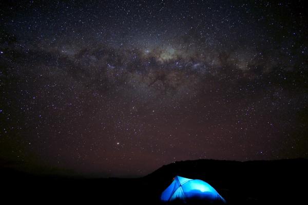 Leila Nicholson Camping under the galactic kiwi